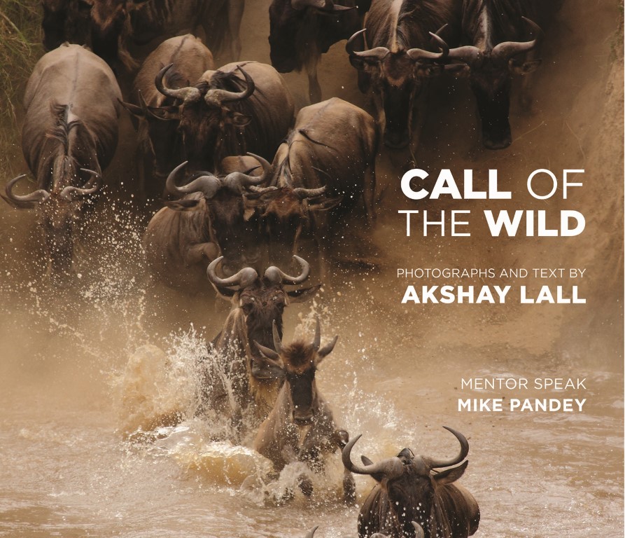 Call-of-the-Wild-Front-cover-only-Medium